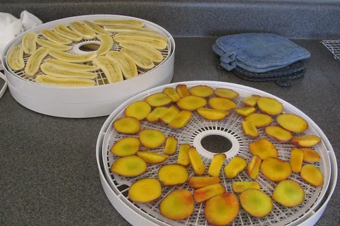 Top 10 Best Food Dehydrator Reviews