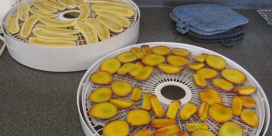 Top 10 Best Food Dehydrator Reviews
