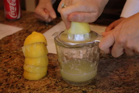 Top 10 Best Lemon Squeezer Reviews
