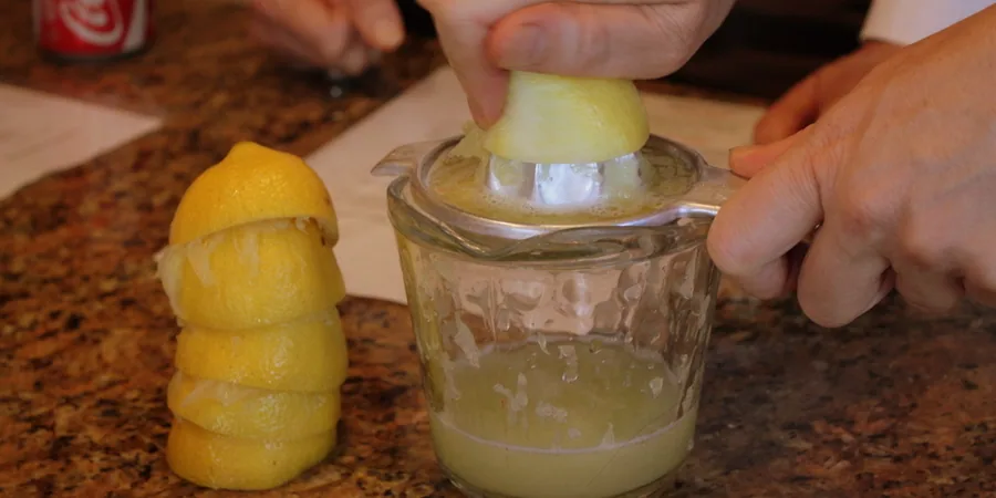 Top 10 Best Lemon Squeezer Reviews