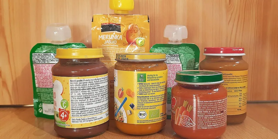 Top 10 Best Baby Food Makers Reviews