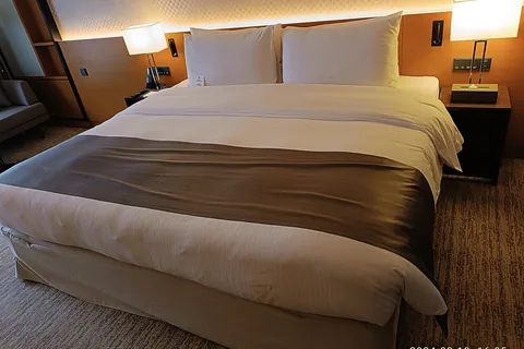 Top 10 Best Bamboo Pillows Reviews