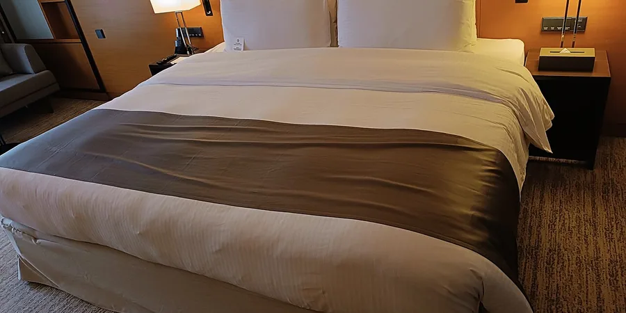 Top 10 Best Bamboo Pillows Reviews