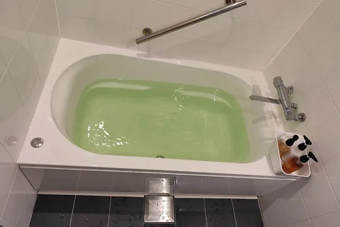 Top 10 Best Bathtub Caddy Reviews