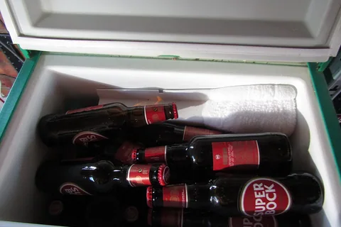 Top 10 Best Beverage Coolers Reviews