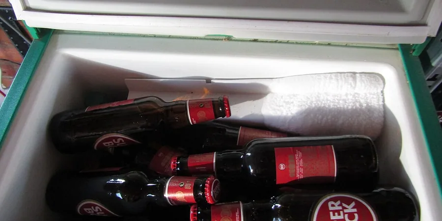Top 10 Best Beverage Coolers Reviews