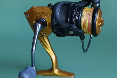 Top 10 Best Braided Fishing Lines Reviews