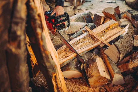 Top 10 Best Chainsaws Reviews