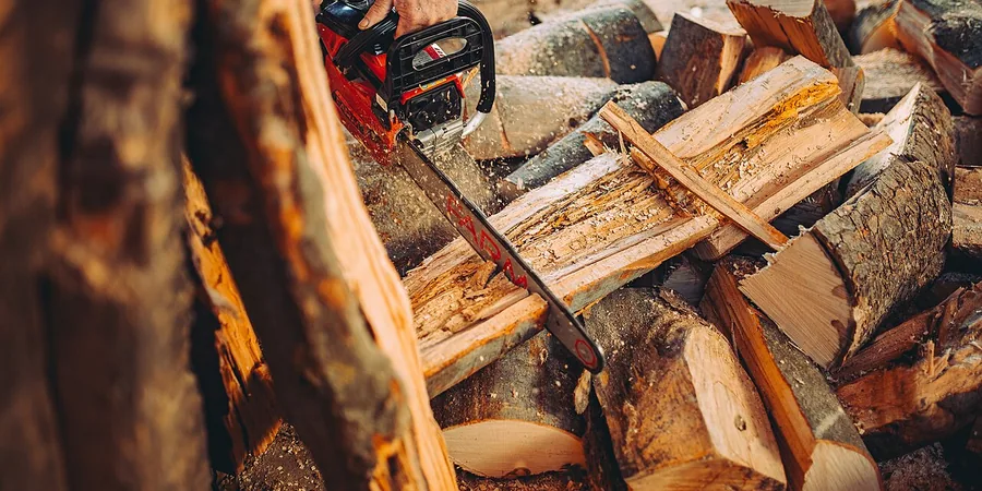 Top 10 Best Chainsaws Reviews