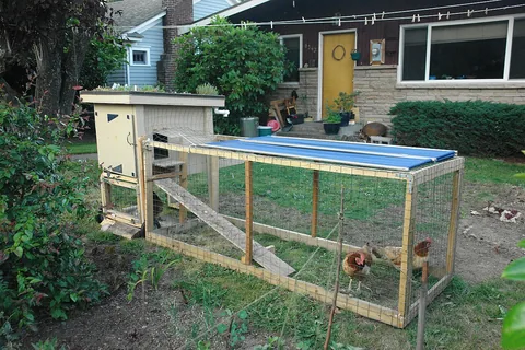 Top 10 Best Chicken Coops Reviews