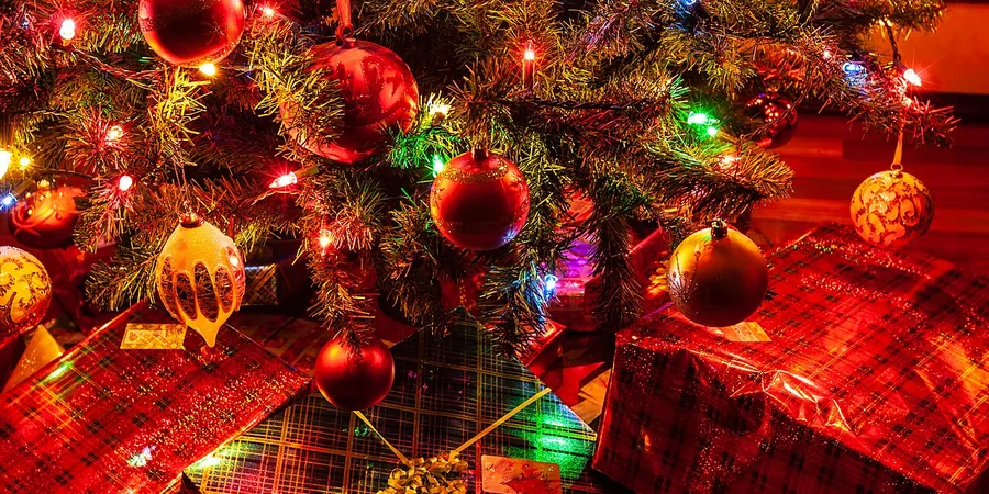 Top 10 Best Christmas Tree Stands