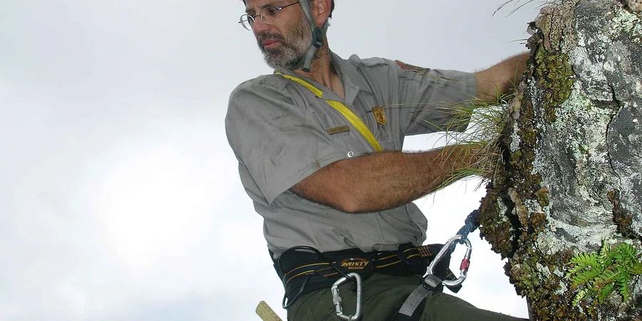 Top 10 Best Climbing Harnesses Reviews