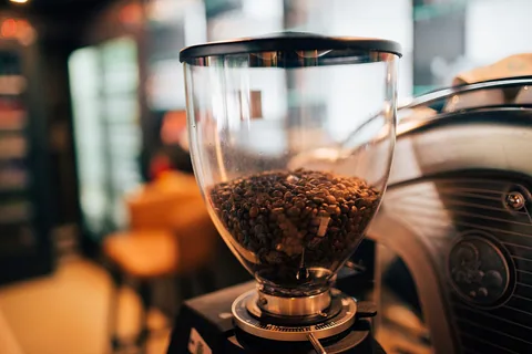 Top 10 Best Coffee Grinders Reviews