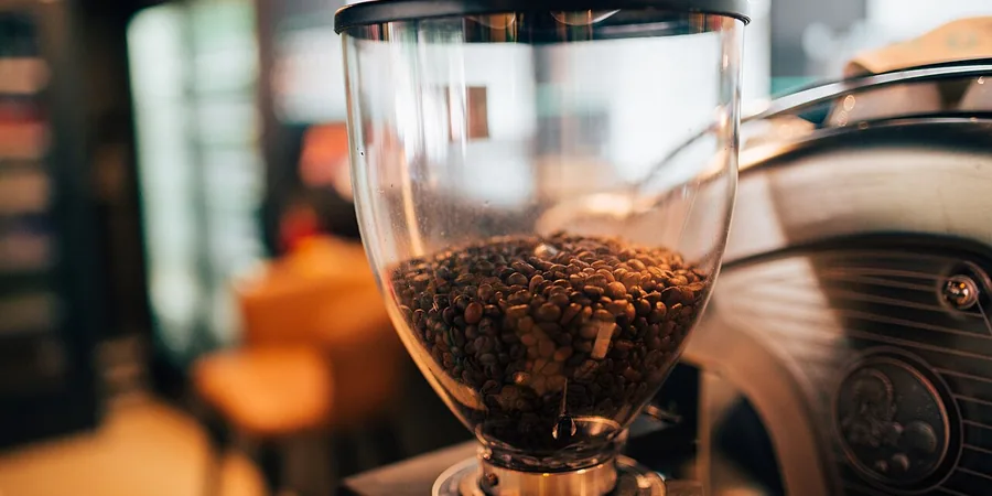 Top 10 Best Coffee Grinders Reviews