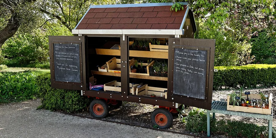 Top 10 Best Collapsible Folding Wagons Reviews