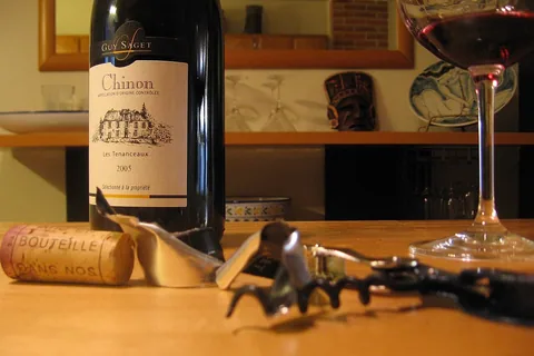 Top 10 Best Electric Wine Opener Reviews