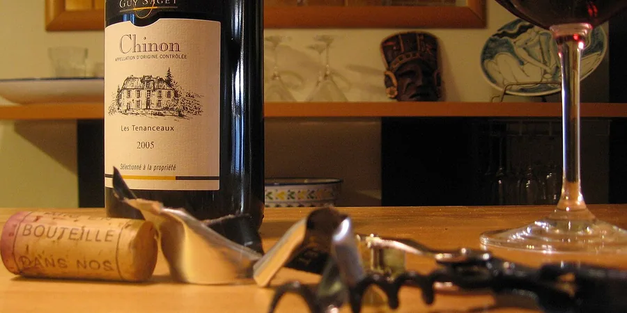 Top 10 Best Electric Wine Opener Reviews