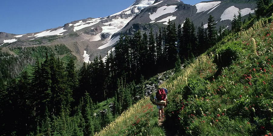 Top 10 Best Hydration Packs Reviews