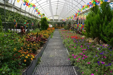 Top 10 Best Mini Greenhouse Reviews