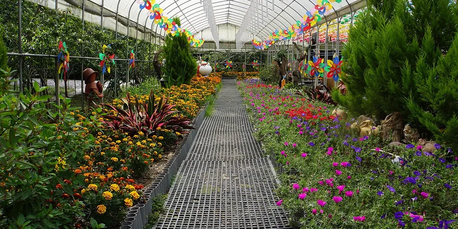 Top 10 Best Mini Greenhouse Reviews