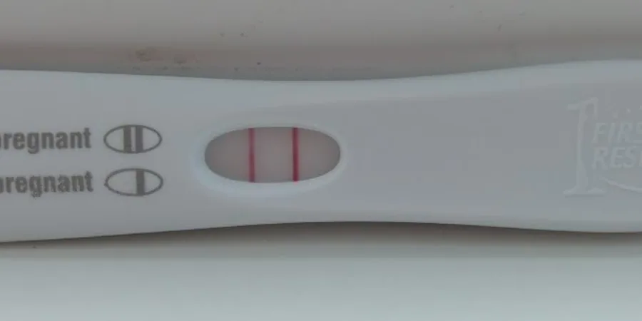 Top 10 Best Ovulation Tests