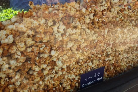 Top 10 Best Popcorn Makers