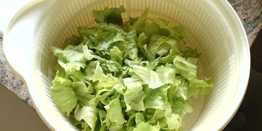 Top 10 Best Salad Spinners
