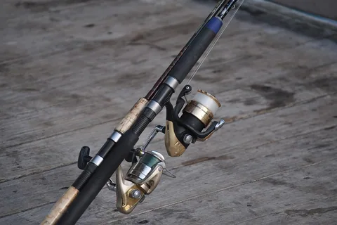 Top 10 Best Spinning Reels Reviews