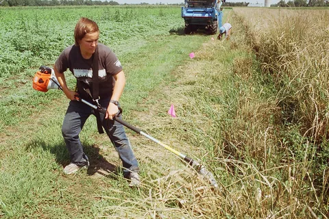 Top 10 Best String Trimmers Reviews