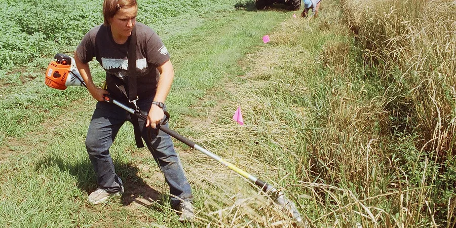 Top 10 Best String Trimmers Reviews