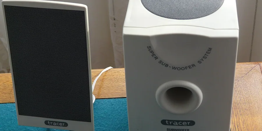 Top 10 Best Subwoofers For Music Reviews