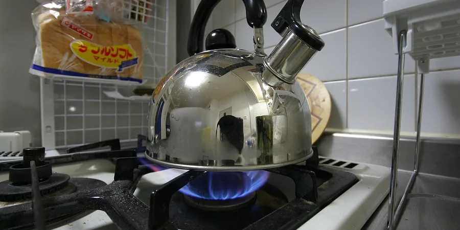 Top 10 Best Tea Kettles Reviews