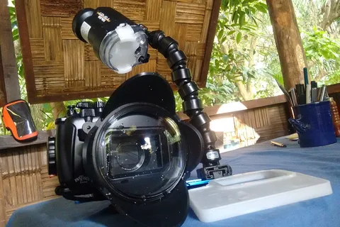Top 10 Best Waterproof Camera Case